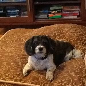 Meet your Posher, Karen